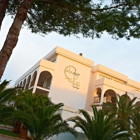 Aparthotel Playa 3*
